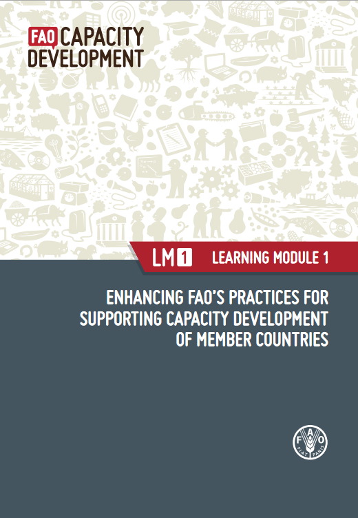Fao Sfm Tool Detail Enhancing Faos Practices For Supporting